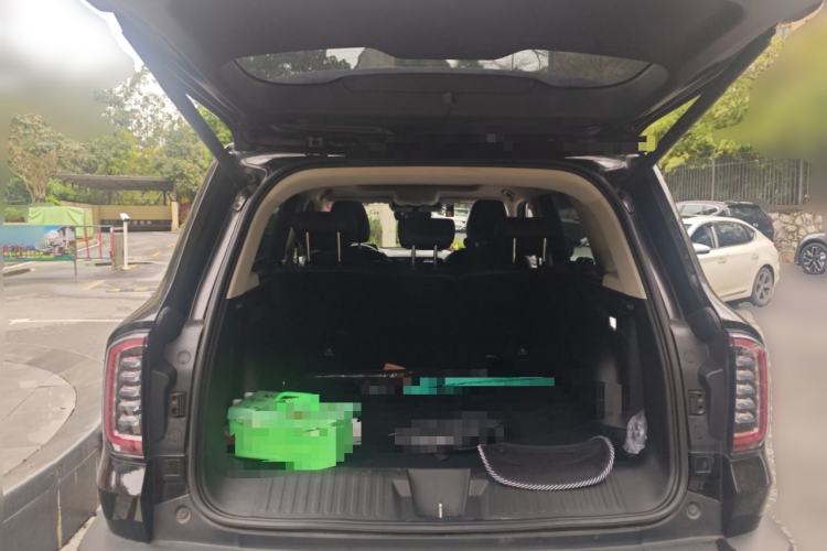 Used Haval DARGO 2021 2.0T DCT 4x4 Chinese Rural Dog Edition
