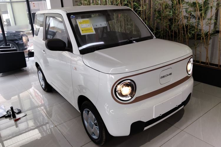 Used  Panda 2024 Panda Mini 200km Endurance Bear
