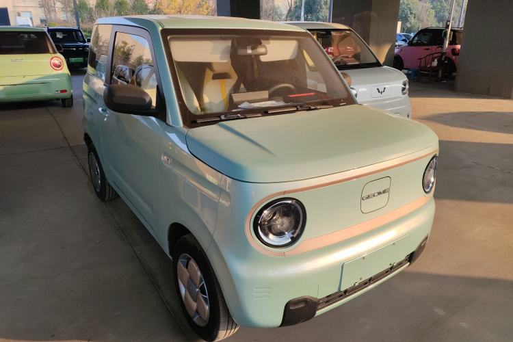 Used  Panda 2023 Panda Mini 200km Endurance Bear
