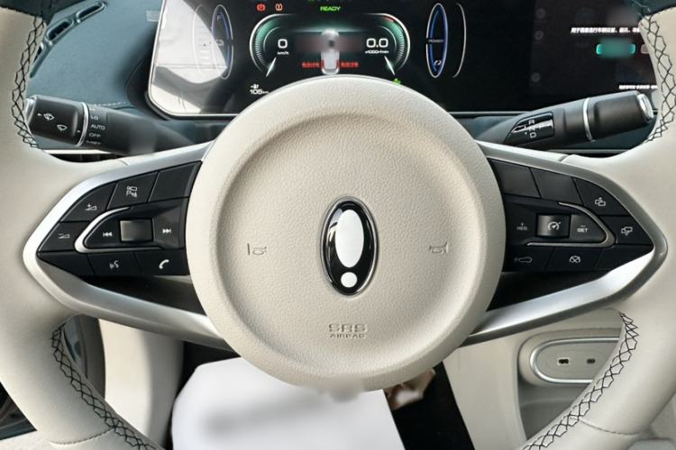 Used ORA Good Cat 2024 401 km Luxury Version