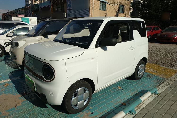 Used  Panda 2024 Panda Mini 200km Endurance Bear