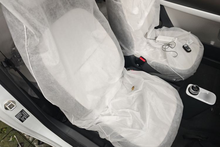 Used  Panda 2025 210 km – Yuanqi Bear
