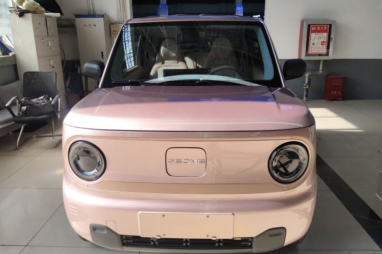 Used  Panda 2023 Panda Mini 200km Endurance Bear
