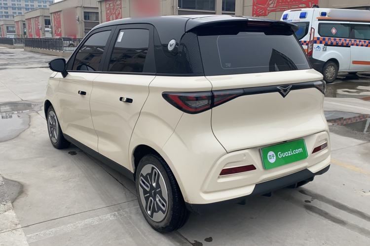 Used Cowin October 2025 Mate 300km Surfing Edition