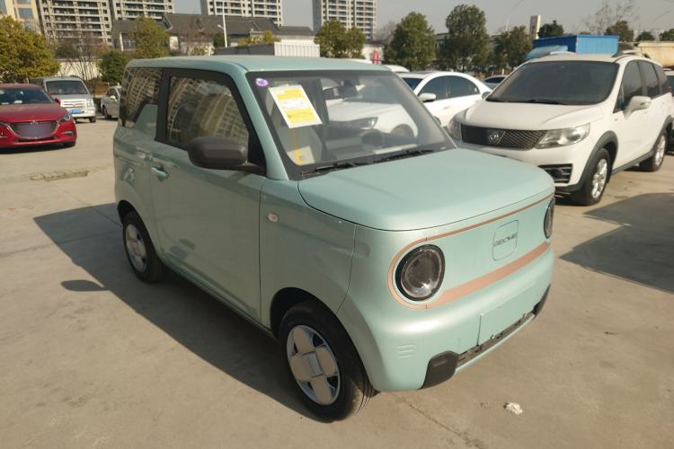 Used  Panda 2024 Panda Mini 200km Endurance Bear
