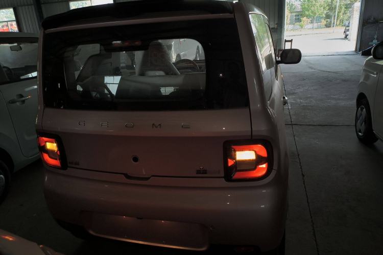 Used  Panda 2025 210 km – Yuanqi Bear
