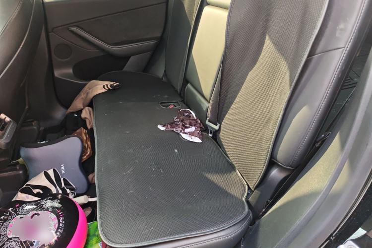 Used Tesla Model Y 2021 Standard Range Rear-Wheel Drive Version