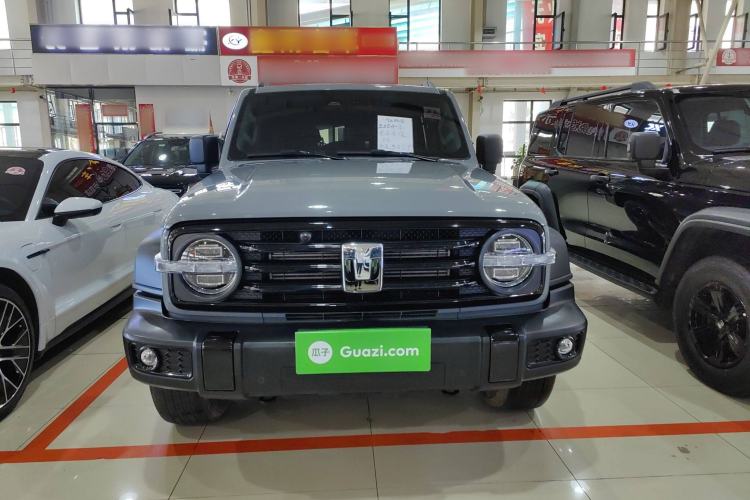 Used Tank 300 2024 2.0T Conqueror
