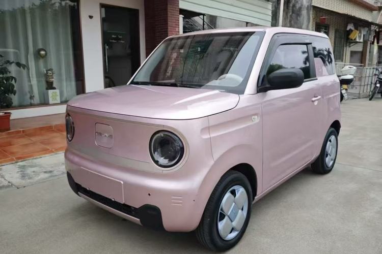 Used  Panda 2023 Panda Mini 200km Endurance Bear
