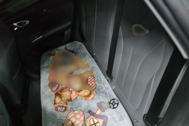 Used  Geome 2025 310km Youth Edition