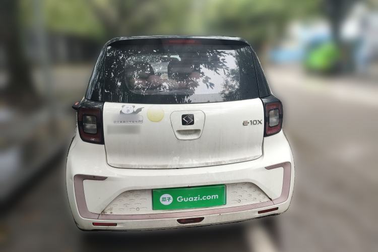 Used SOL E10X 2022 Flower Fairy Design Four-Leaf Clover
