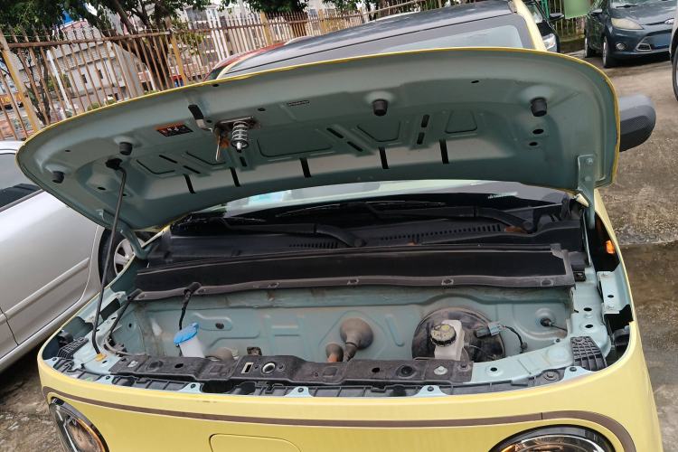 Used  Panda 2023 Panda Mini 200km Dynamic Bear
