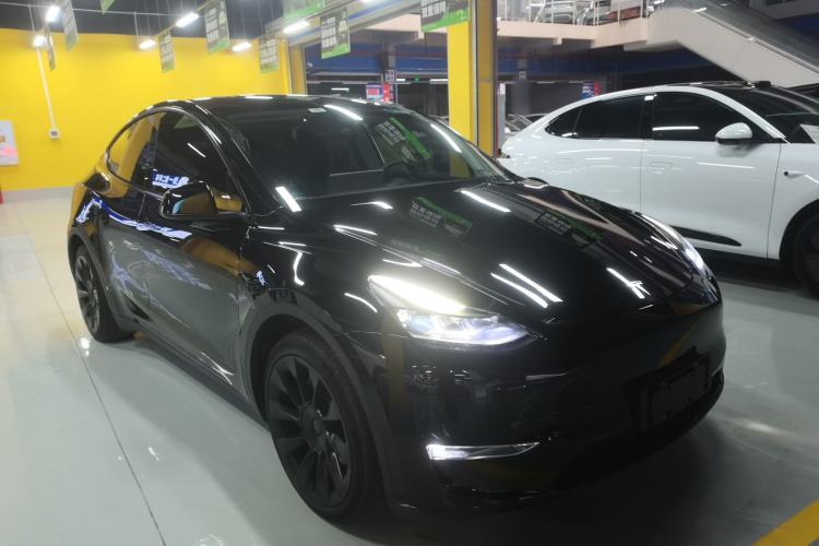 Used Tesla Model Y 2021 Standard Range Rear-Wheel Drive Version
