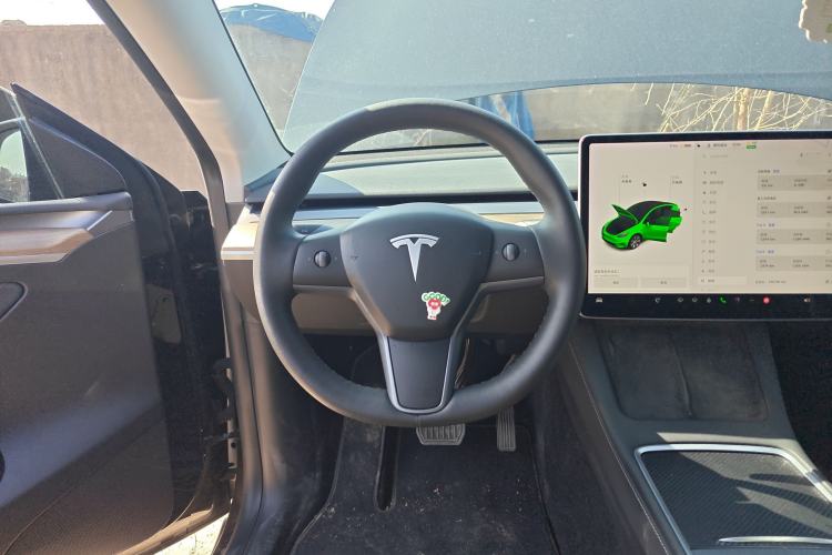 Used Tesla Model Y 2021 Standard Range Rear-Wheel Drive Version