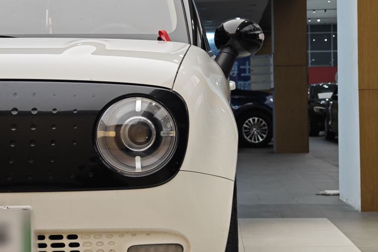 Used ORA Black Cat 2021 351 km Luxury Version
