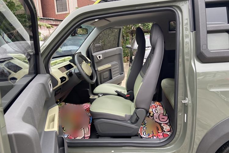 Used  Panda 2024 Panda Mini 200km Endurance Bear
