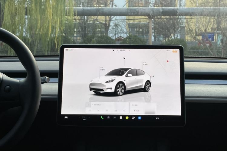 Used Tesla Model Y 2021 Standard Range Rear-Wheel Drive Version
