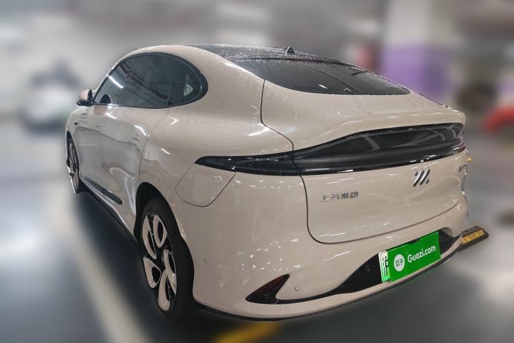 Used  LS6 2023 Max Long-Range Version
