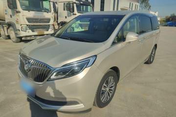 Used Buick GL8 2018 ES 28T Luxury Model China VI Standard