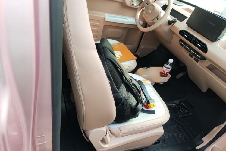 Used  Panda 2023 Panda Mini 200km Endurance Bear
