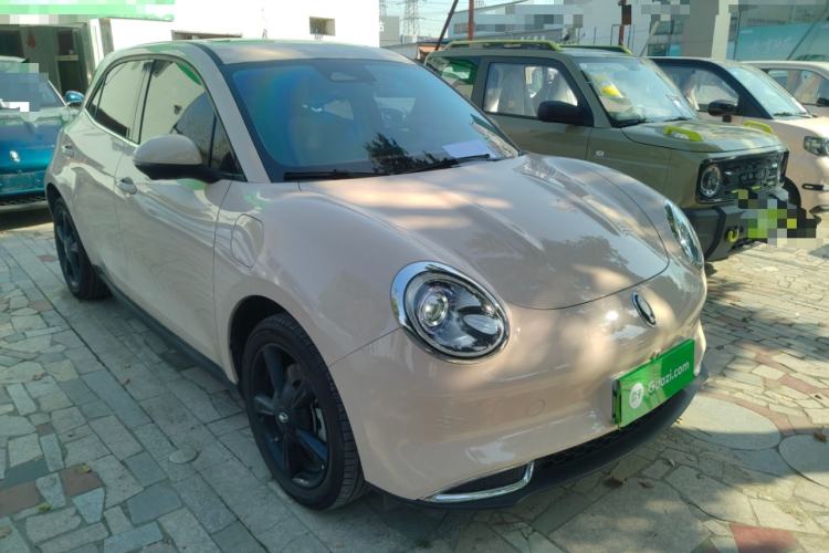 Used ORA Good Cat 2024 401 km Luxury Version
