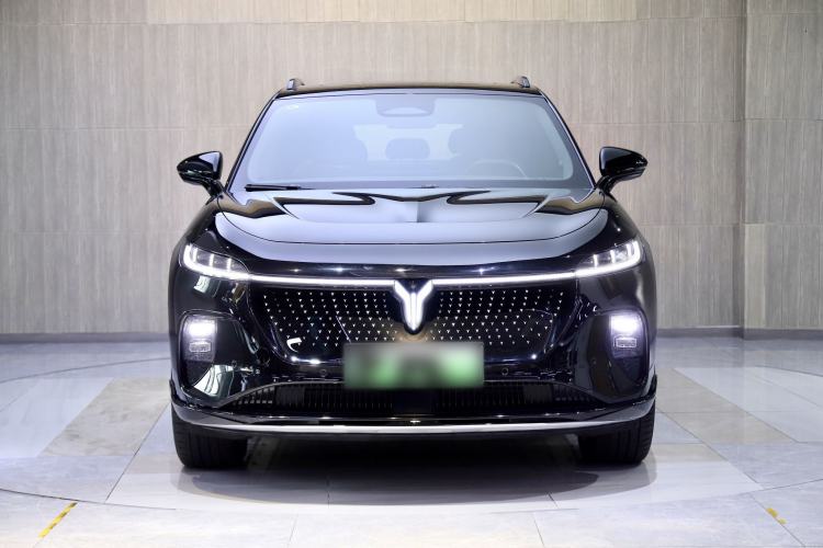 Used VOYAH COURAGE 2024 Four-Wheel Drive Global Edition
