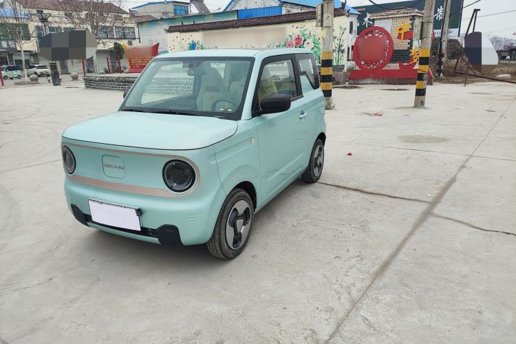 Used  Panda 2023 Panda Mini 200km Dynamic Bear
