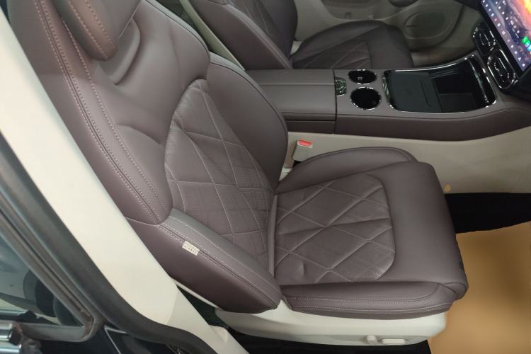 Used Leapmotor C11 2024 Range-Extended 300 Luxury Edition
