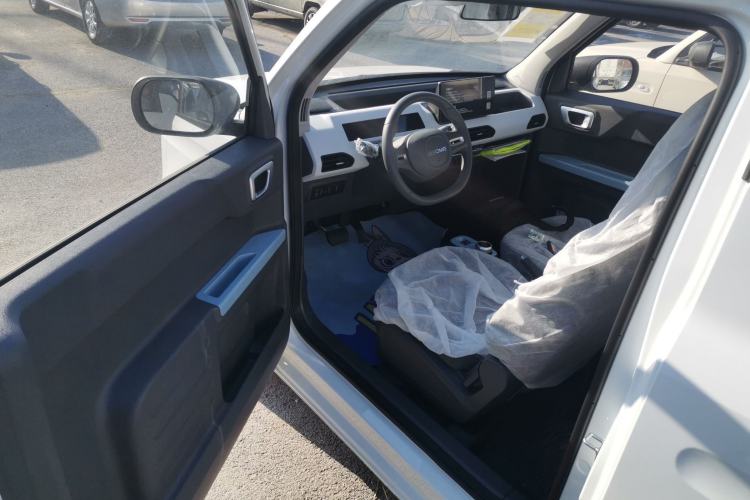 Used  Panda 2024 Panda Mini 200km Endurance Bear
