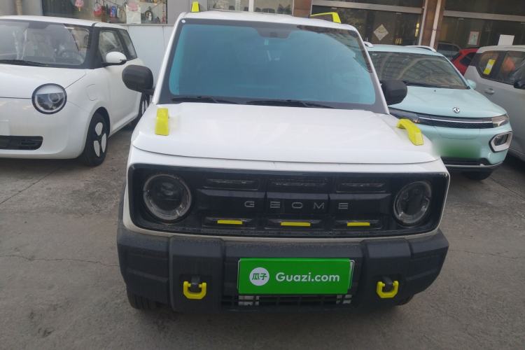 Used  Panda 2024 200km Panda Rider