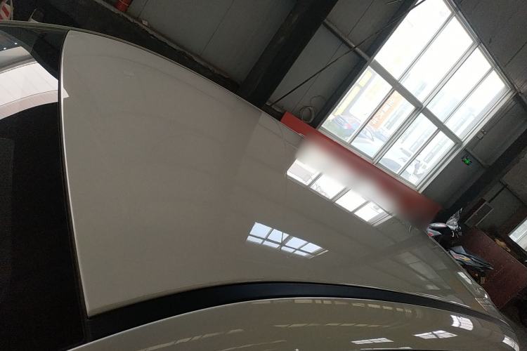 Used ORA Black Cat 2021 301 km Basic Version