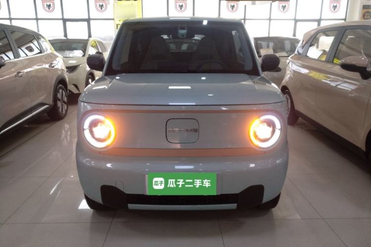 Used  Panda 2024 Panda Mini 200km Longteng PRO Edition
