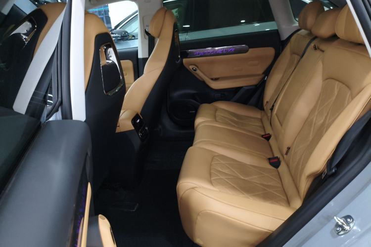 Used Leapmotor C11 2024 Range-Extended 300 Luxury Edition
