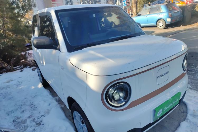 Used  Panda 2025 210 km – Yuanqi Bear
