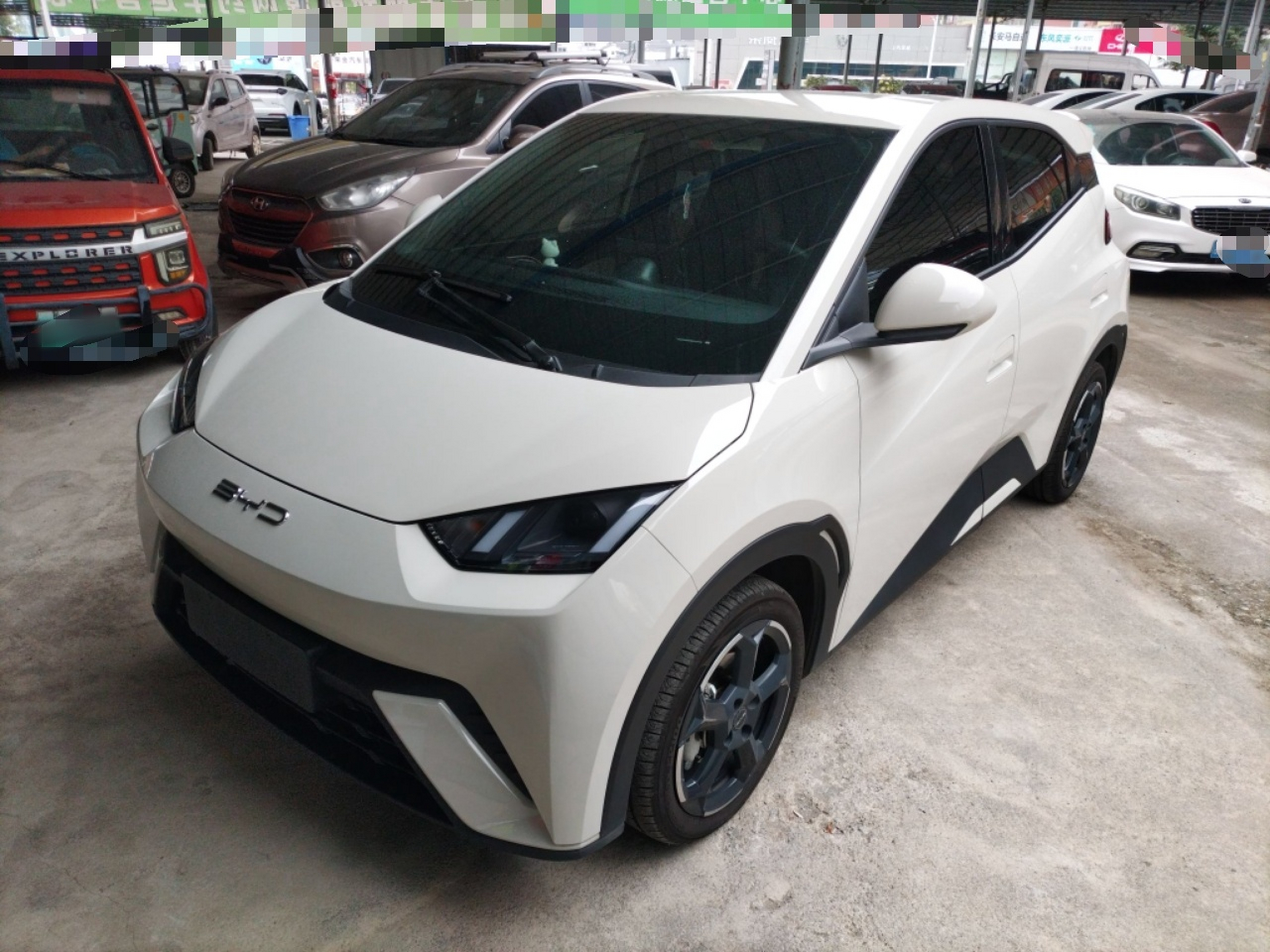 تحت مقدمة السيارة