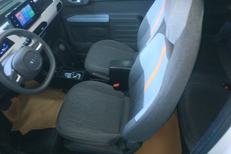 Used  Panda 2023 Panda Mini 200km Endurance Bear
