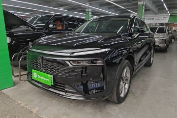 Used Wey Mocha New Energy 2024 Hi4 Four-Wheel Drive Long-Range Version