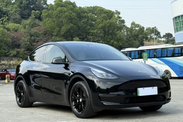 Used Tesla Model Y 2022 Revised Version Long-Range All-Wheel Drive
