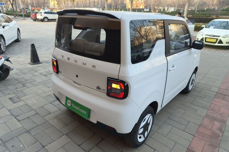 Used  Panda 2025 210 km – Yuanqi Bear