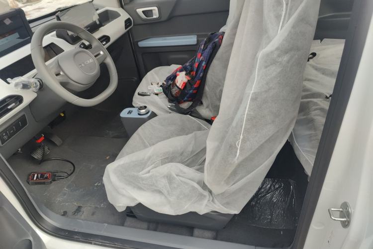 Used  Panda 2024 Panda Mini 200km Endurance Bear
