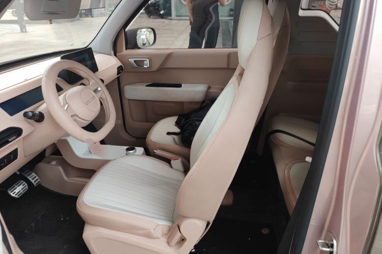 Used  Panda 2023 Panda Mini 200km Endurance Bear