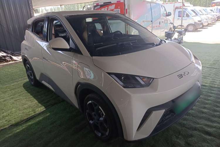 Used BYD Seagull 2025 405 km Flying Edition
