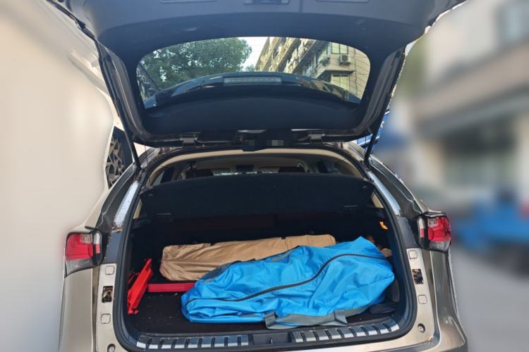 Used Lexus NX 2015 200 Front-Wheel Drive X-Trail SE Edition