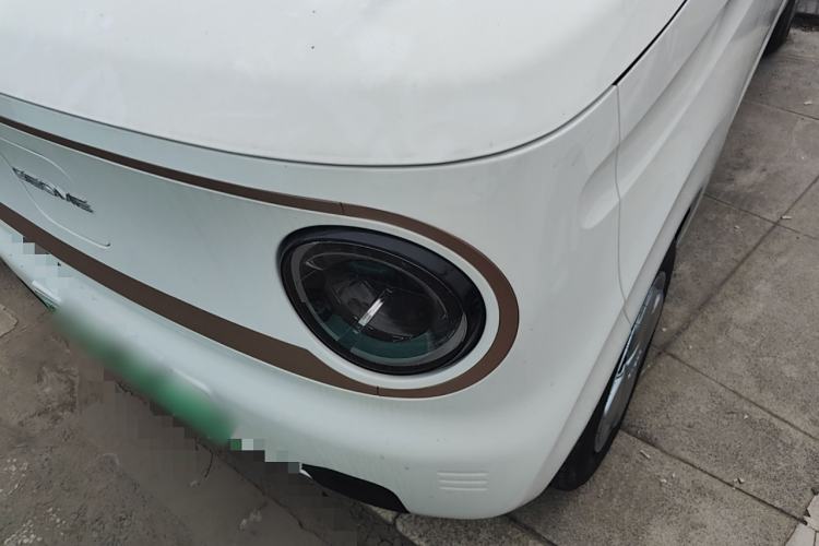 Used  Panda 2024 Panda Mini 200km Endurance Bear
