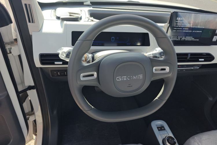 Used  Panda 2025 210 km – Yuanqi Bear