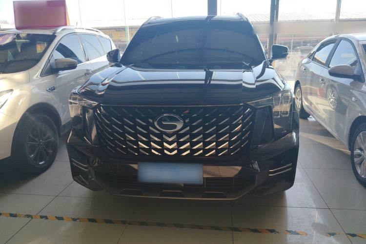 Used GAC Trumpchi GS8 2024 Linghang Series 2.0 TGDI Two-Wheel Drive Luxury Smart Connectivity Version