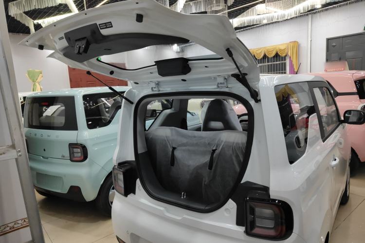 Used  Panda 2025 210 km – Yuanqi Bear