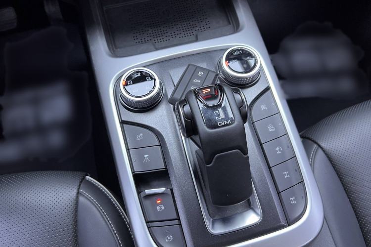 Used Tank 300 2024 2.0T Conqueror
