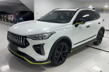 Used Haval LHERY 2021 GT Edition 1.5T Platinum Rabbit