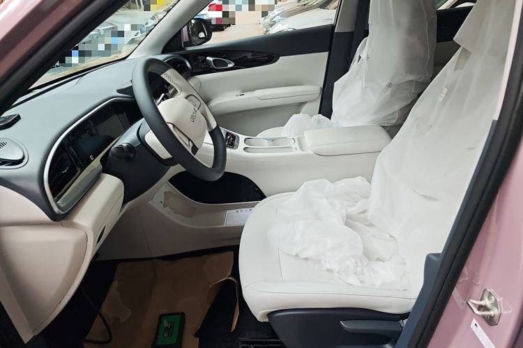 Used  Geome 2025 310km Youth Edition
